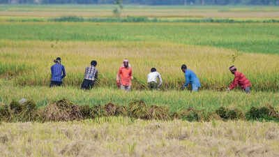 180 scientists and ecologists have issued an urgent appeal to prepare for super el nino