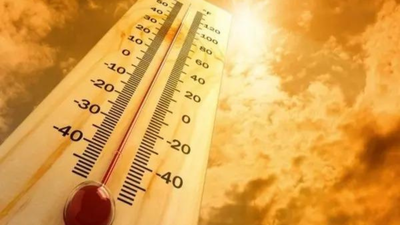 august this year joint warmest month with july 23