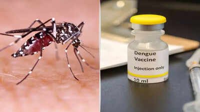 dengue vaccine