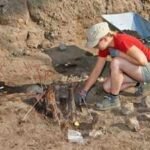 excavaton representative image