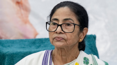 former bengal cm mamata banerjee file photo