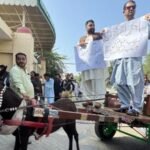 pakistan donkey cart