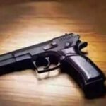 pistolwebp
