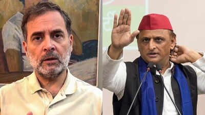 rahul amp akhilesh