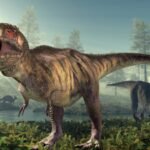 t rex
